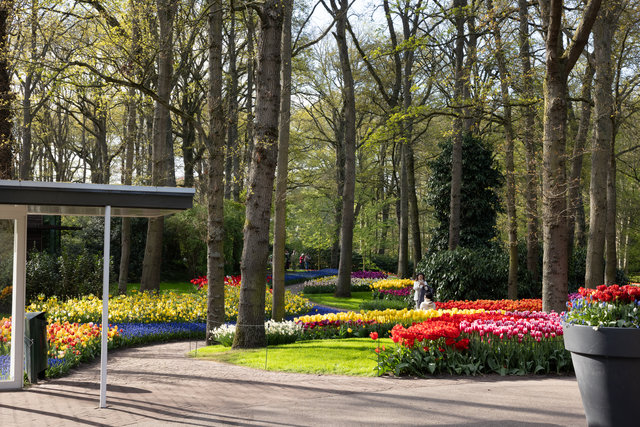 Amsterdam mama 2026-5052.jpg
